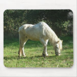 Grazing White Horse  Mouse Pad