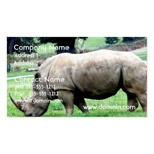 Grazing White Rhino Business Cards (front side)