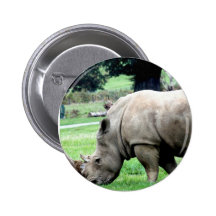 Grazing White Rhino  Button