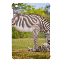 Grazing Zebra iPad Mini Cover