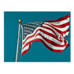 Great American flag flying Postcard