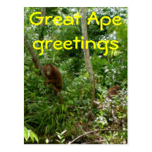 Great Ape Friends Post Card