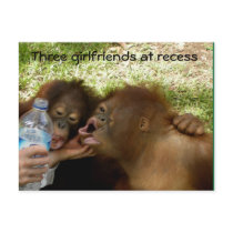 Great Ape Girlfriends at Recess Post Card