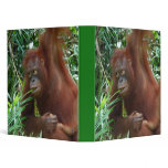 Great Ape in the Rainforest binders