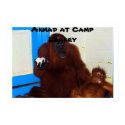 Great Ape Mother at Camp Leakey posters by Rebecca_Reeder Great Ape Mother at Camp Leakey posters