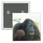 Great Ape Square Pin