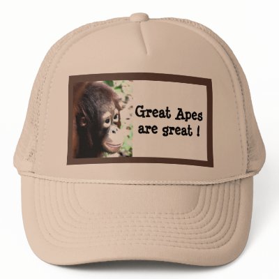 Great Apes are great! Mesh Hats by Rebecca_Reeder