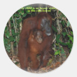 Great Apes Life in the Wild #1 Stickers