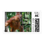 Great Apes postage stamp