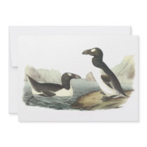 Great Auk, John Audubon Personalized Announcement