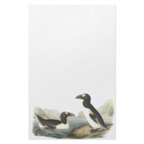 Great Auk, John Audubon Custom Stationery