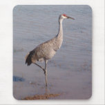 Great Balance Mouse Pad