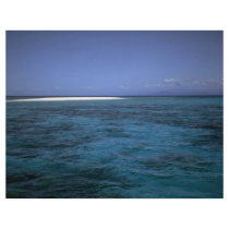 Great Barrier Reef, Queensland, Australia Flyer Design