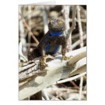 Great Basin Fence Lizard at Joshua Tree Card