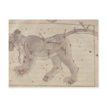 Great Bear, from Book of Stars after El Hussein Postcard