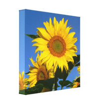 Great Big Happy Sunflower and Bee canvas prints