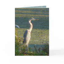 Great Blue cards by MoiraAshleigh Great Blue cards