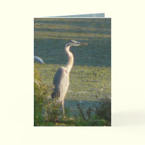 Great Blue cards by MoiraAshleigh Great Blue cards