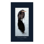 GREAT BLUE HERON Art Poster GREAT BLUE HERON Art Poster
