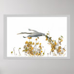 Great Blue Heron & Aspen Tree Print