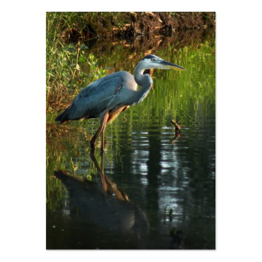 Great Blue Heron ATC Photo Card 2 Business Card Template (front side)