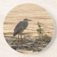 Great Blue Heron Beverage Coaster