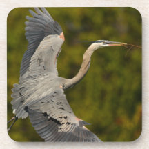 great blue heron beverage coasters