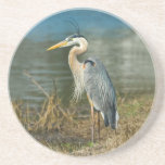 Great Blue Heron Bird Coaster