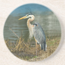 Great Blue Heron Bird Coaster