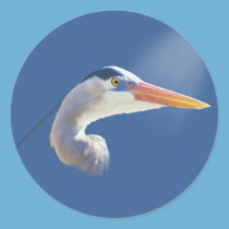 Great Blue Heron Bird Sticker stickers