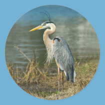Great Blue Heron Bird Sticker stickers