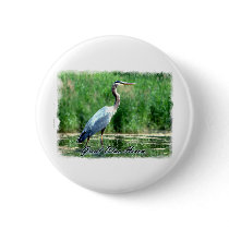 Great Blue Heron buttons