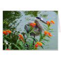 Great Blue Heron cards by moonrisings Great Blue Heron cards