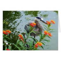 Great Blue Heron cards by moonrisings Great Blue Heron cards