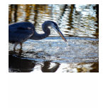 Great blue heron caught fish t-shirts