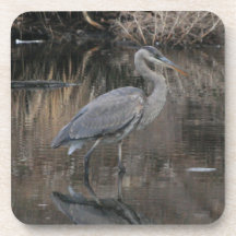 Great Blue Heron Coasters