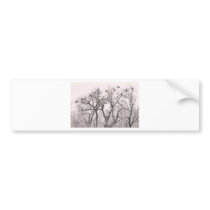 Great Blue Heron Colonies Bumper Sticker