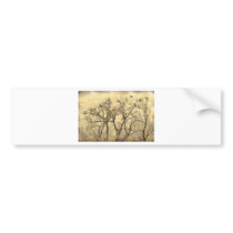 Great Blue Heron Colonies Fine Art Bumper Stickers