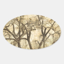 Great Blue Heron Colonies Fine Art Sticker