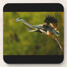 great blue heron drink coaster