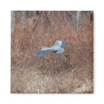 Great Blue Heron Flying Refrigerator Magnet