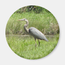 Great Blue Heron Fridge Magnet