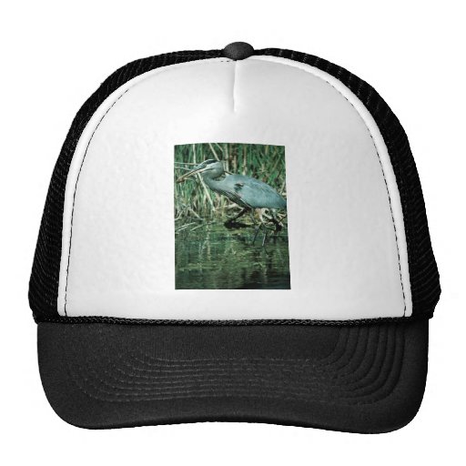Great Blue Heron Hat
