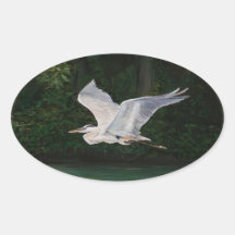 Great Blue Heron in Flight Bird Art Sticker