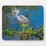 Great Blue Heron in Lake Mousepad
