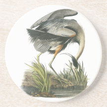 Great Blue Heron, John Audubon Coasters