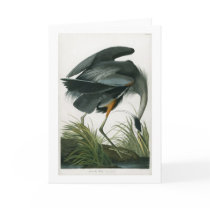 Great Blue Heron, John James Audubon Cards