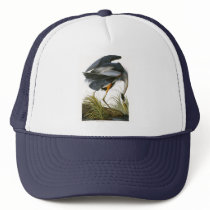 Great Blue Heron, John James Audubon Hat