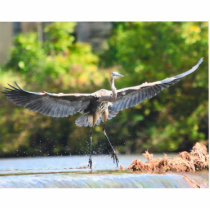 great blue heron landing at falls photo sculptures by kmullarney great blue heron landing at falls photo sculptures