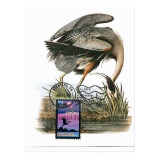 Great Blue Heron maximum card Audubon Postcard